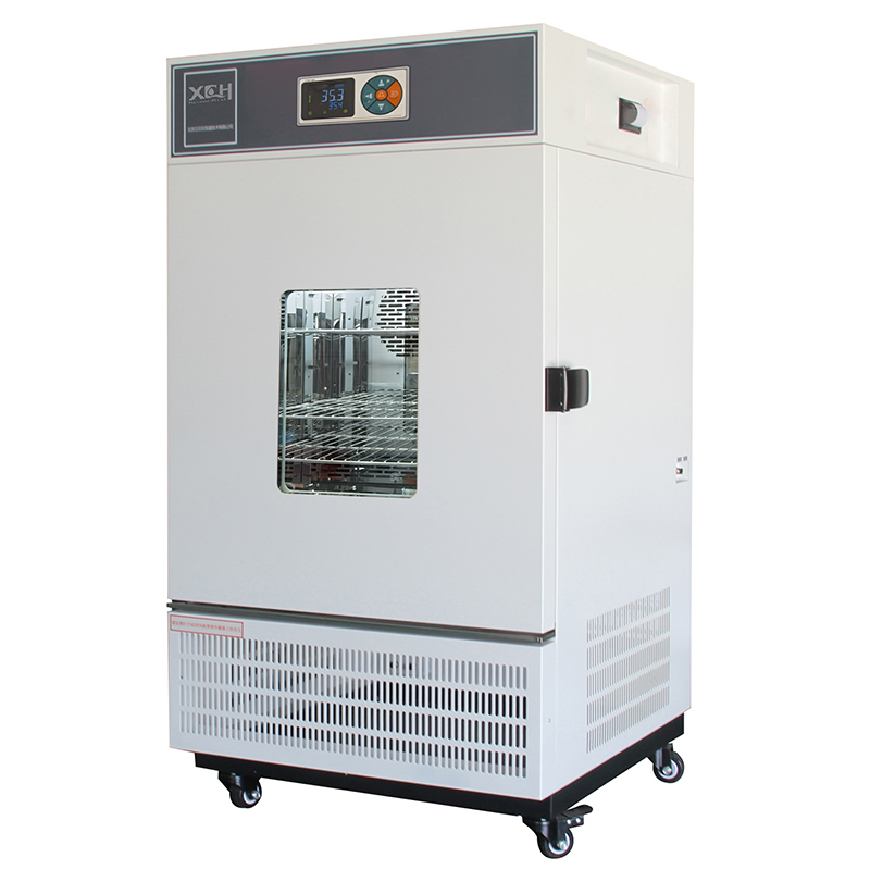 Incubateur de moules de laboratoire 500L (0-60 ℃)