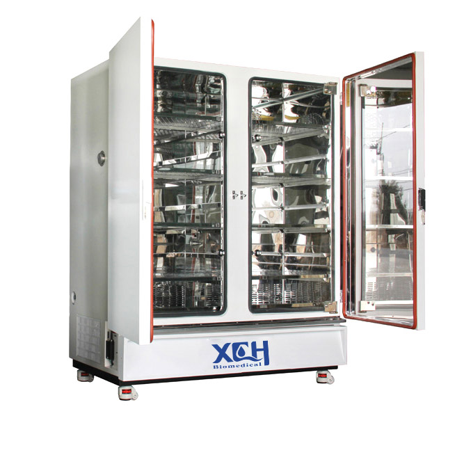 Chambre médicale XCH-1000SD d'humidité de la température de la stabilité 1000L
