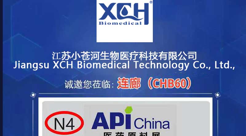 La 88ème API pharmaceutique internationale de Chine