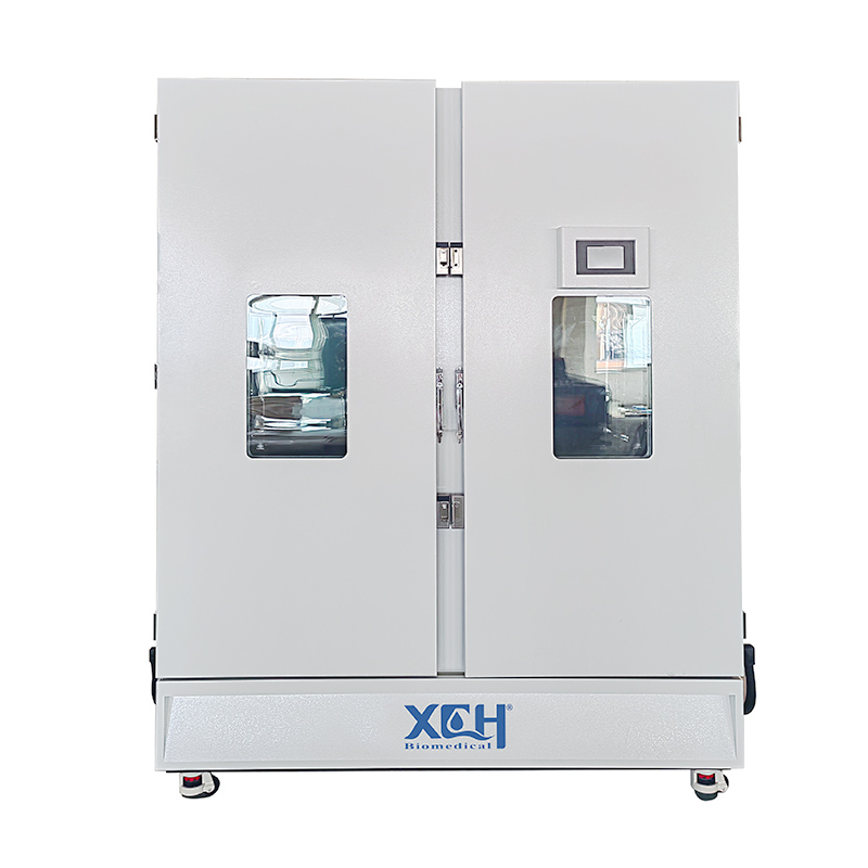 Chambre médicale XCH-1000SD d'humidité de la température de la stabilité 1000L